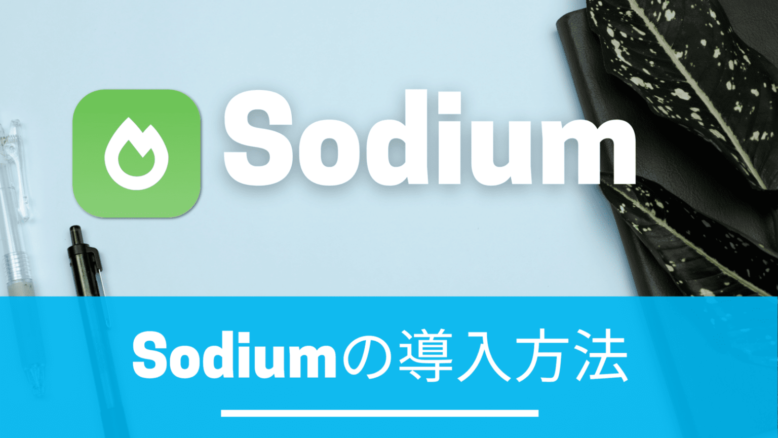 sodium fabric 1.20.4